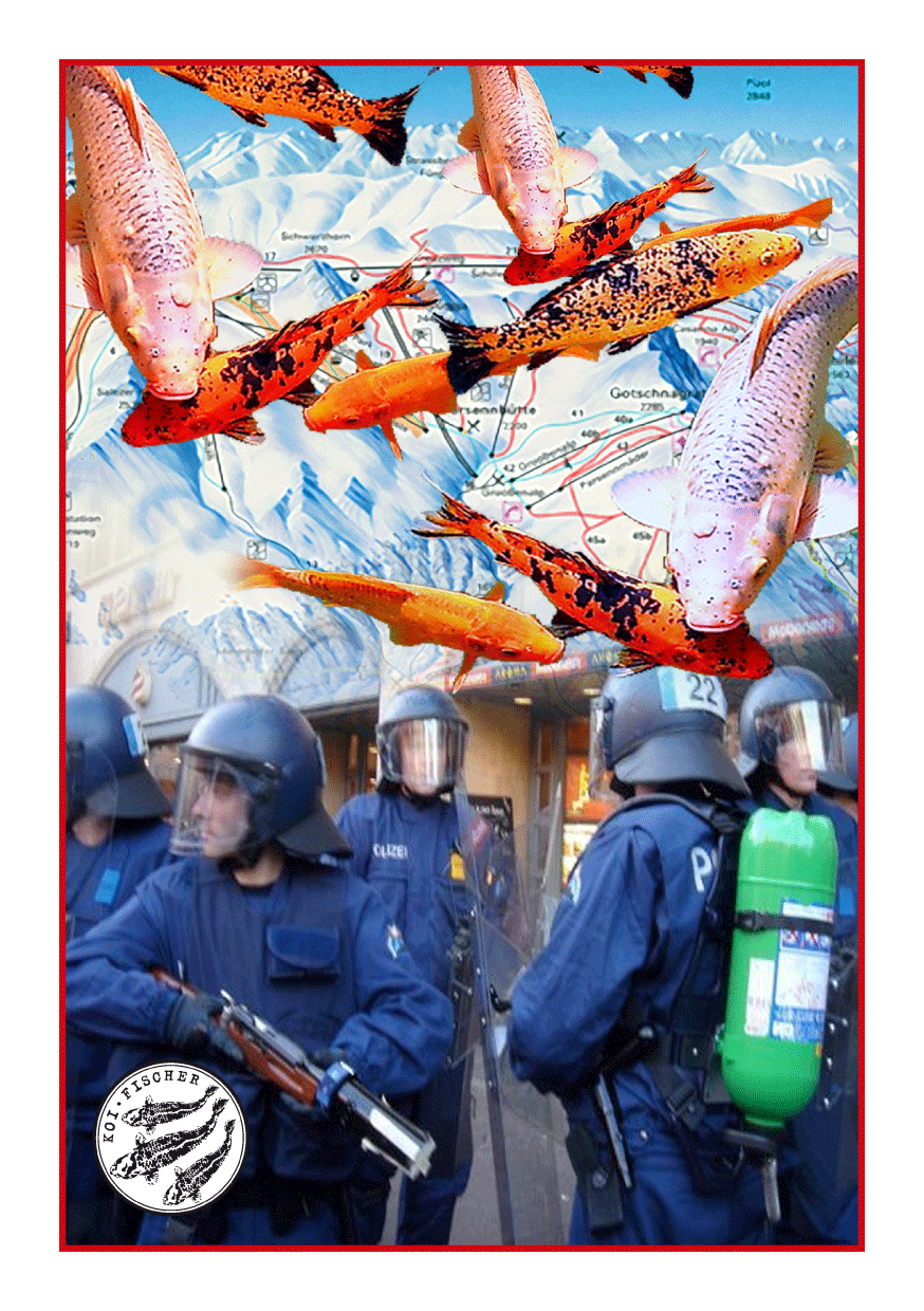 Bild Koi Spezial Wef 09