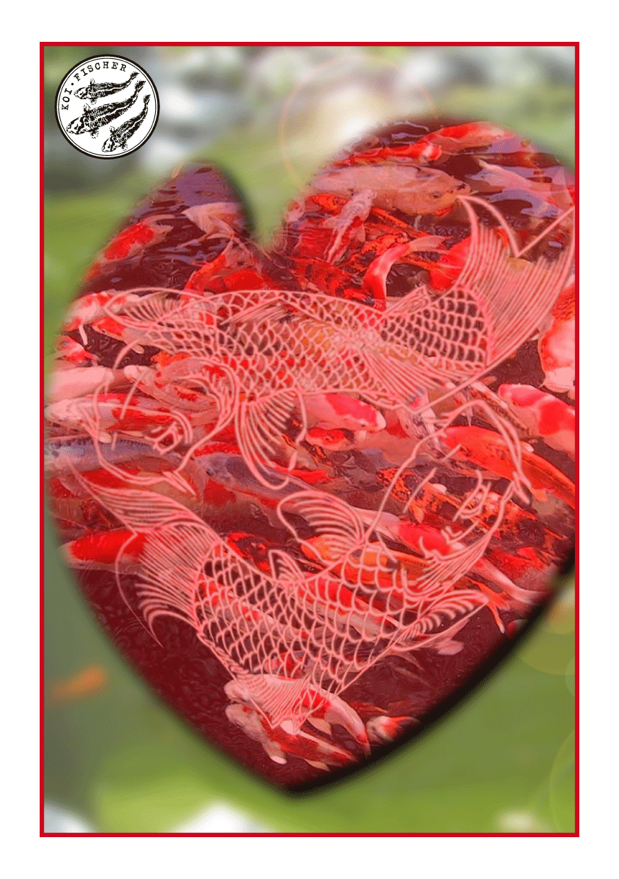 Bild Koispezial Valentistag 2010