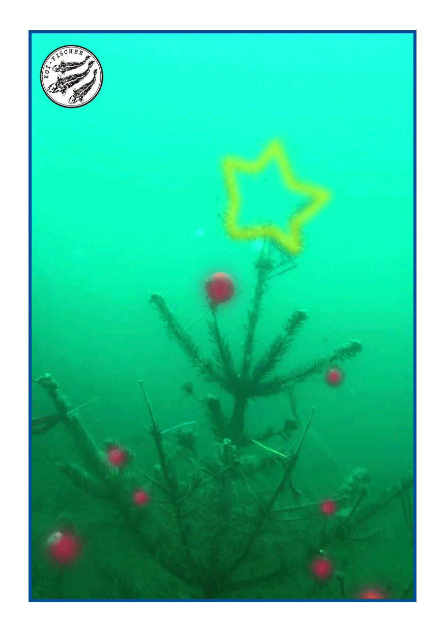 Bild Weihnachten 2012 internationale Braeuche