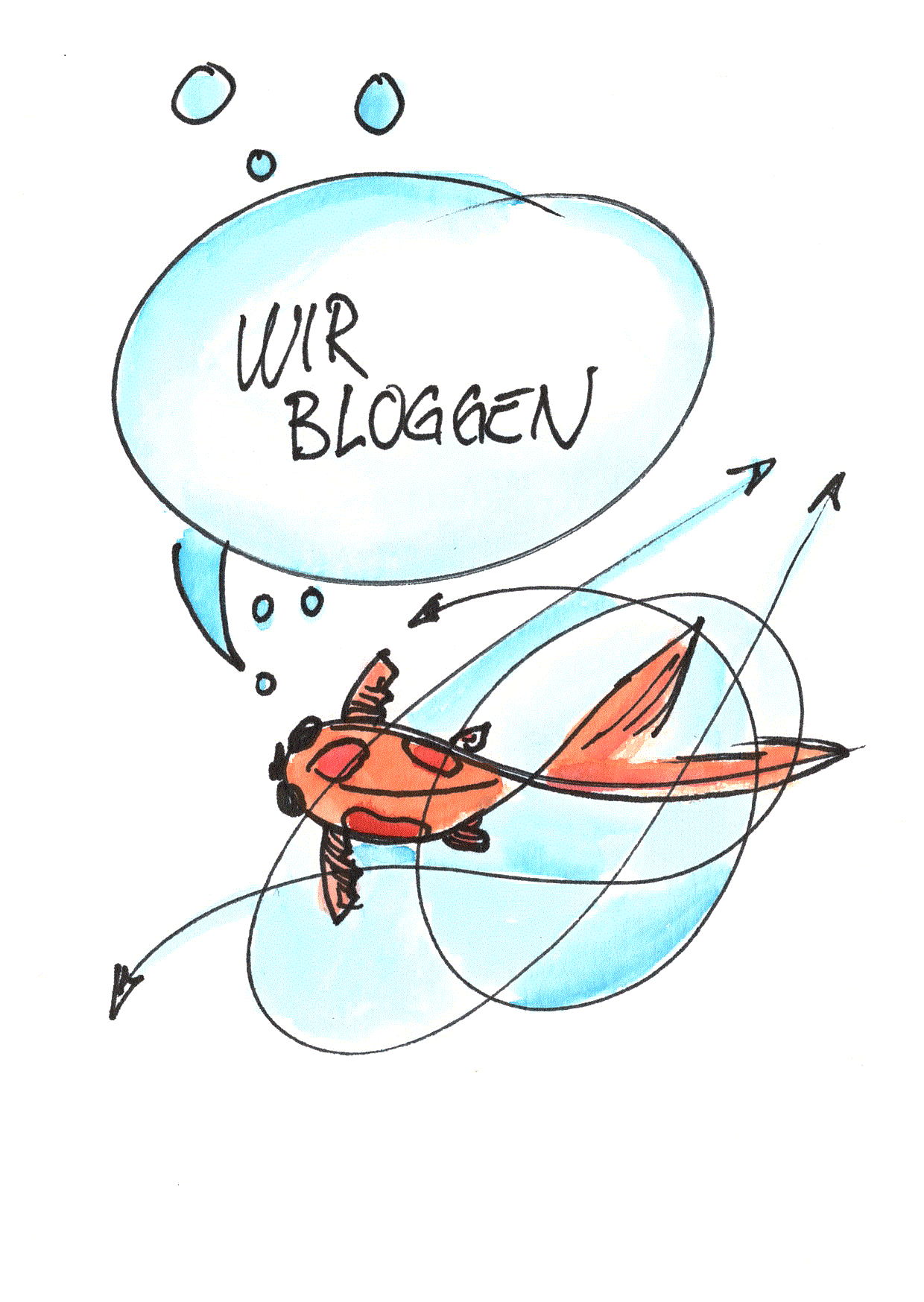 Bild blog koifischer.ch